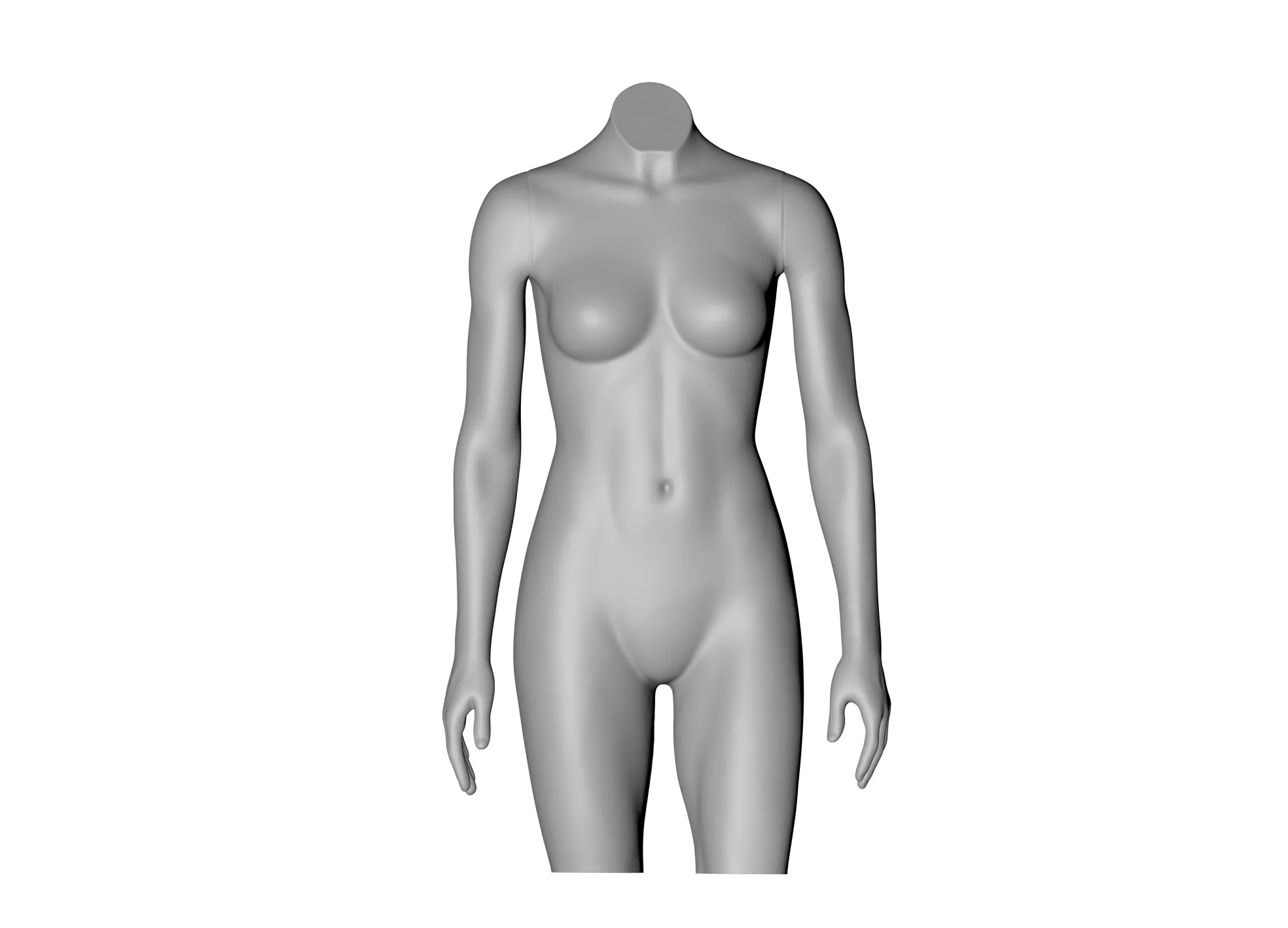 Female Torso
