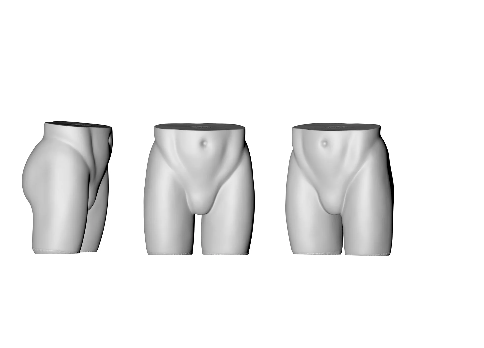 FR Trunk Form