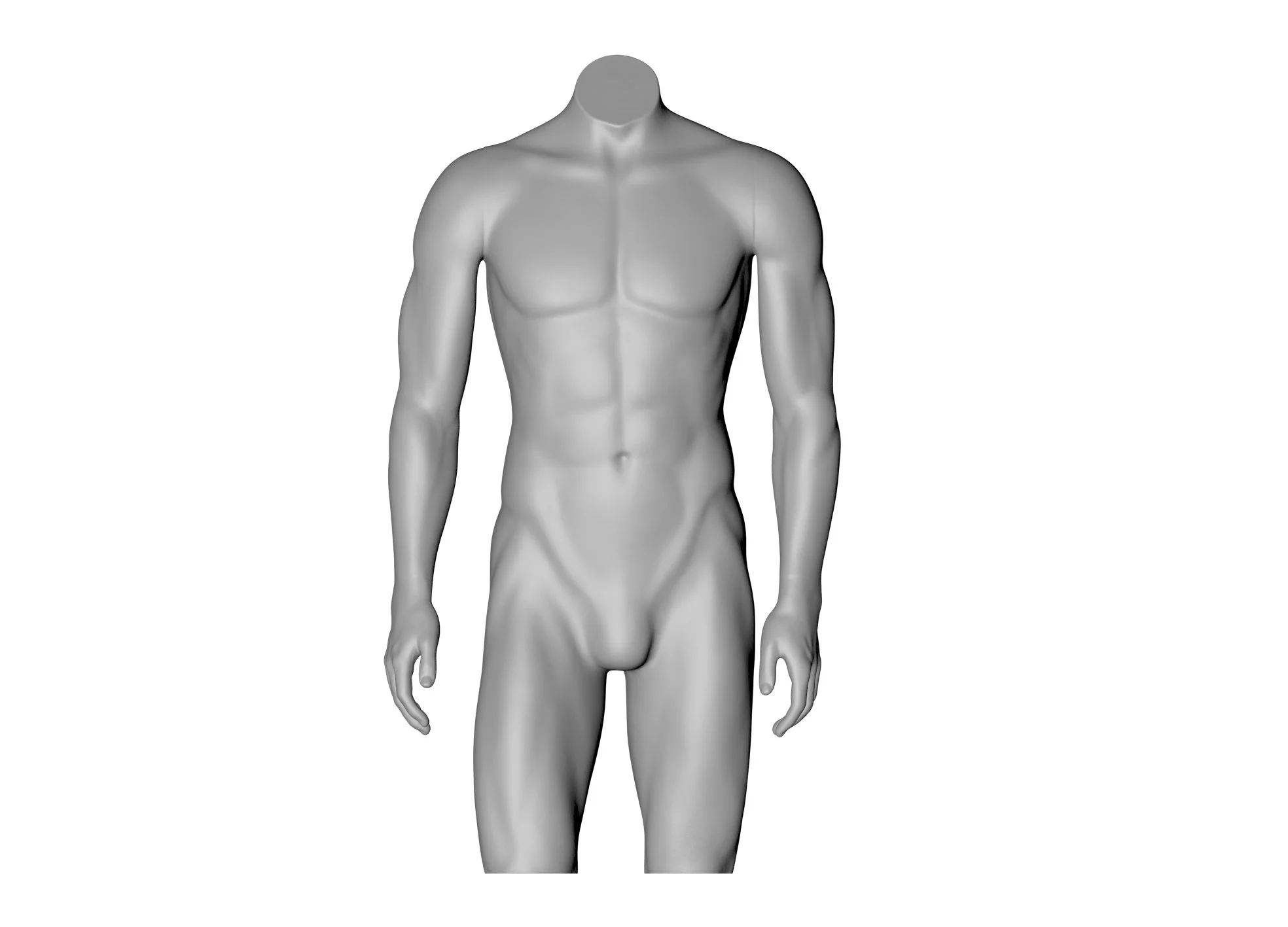Levis Male Torso