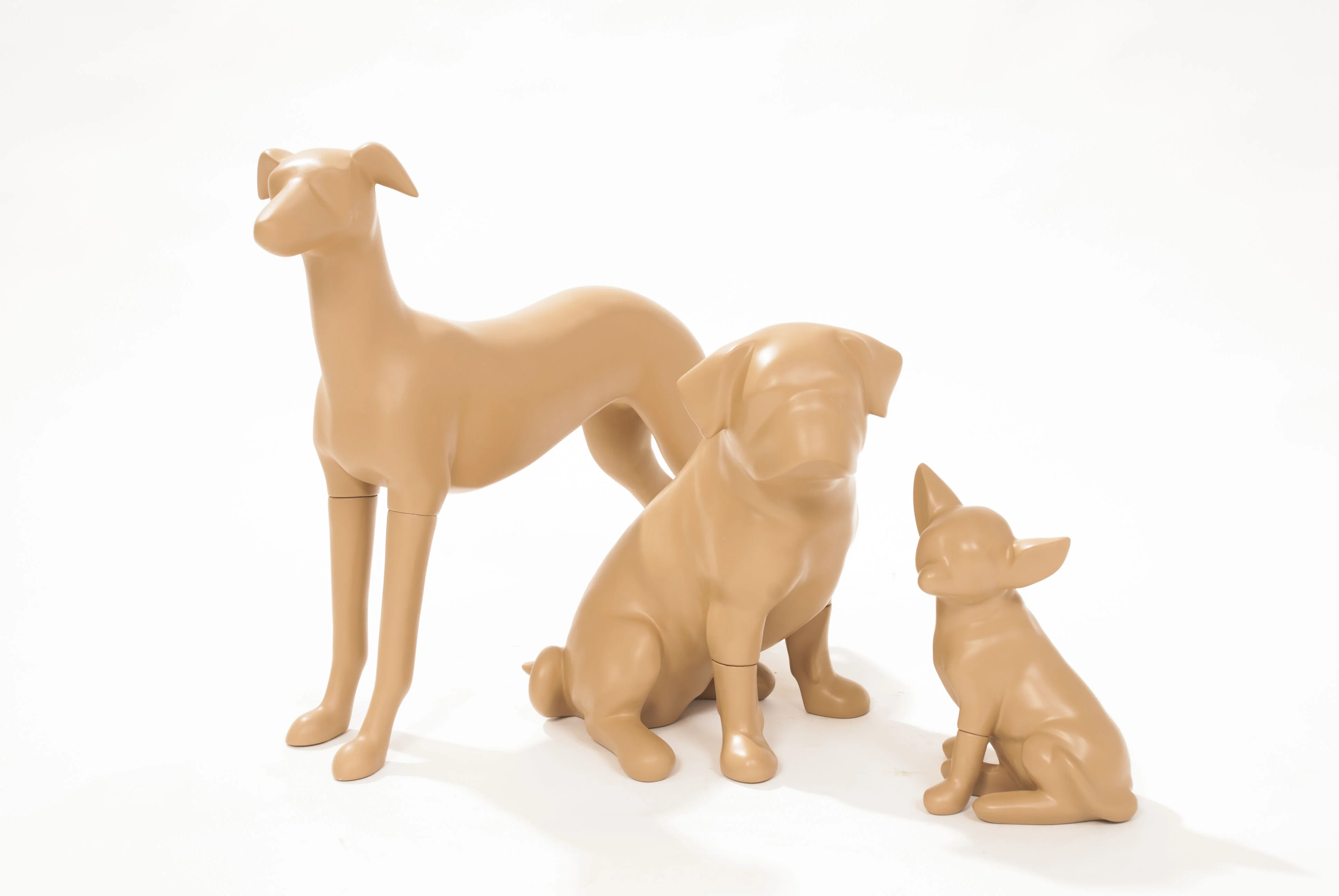 Dog Display Form